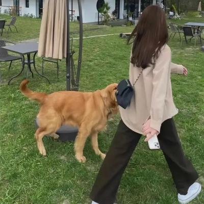 我的幸福婚约2023